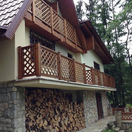 Villa Residenz Pal Kokava nad Rimavicou Exterior foto